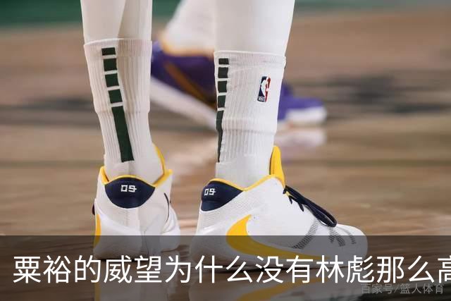 粟裕的威望为什么没有林彪那么高